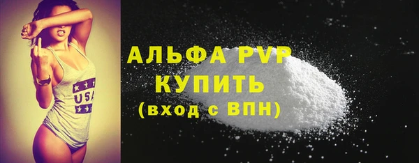 сатива Горняк