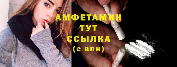 шишки Вязники