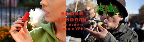 шишки Вязники