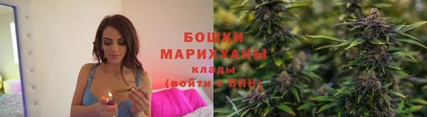 МДПВ Вязьма