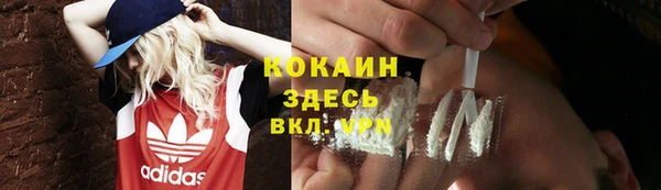 шишки Вязники