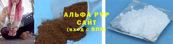 сатива Горняк