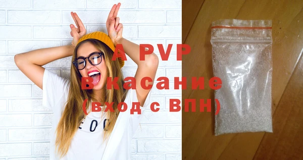 сатива Горняк
