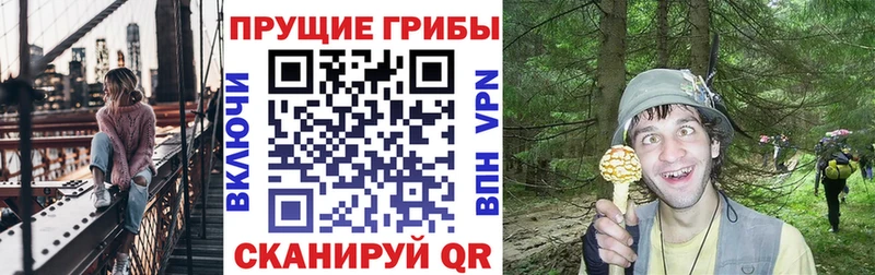 где купить   Изобильный  Псилоцибиновые грибы MAGIC MUSHROOMS 